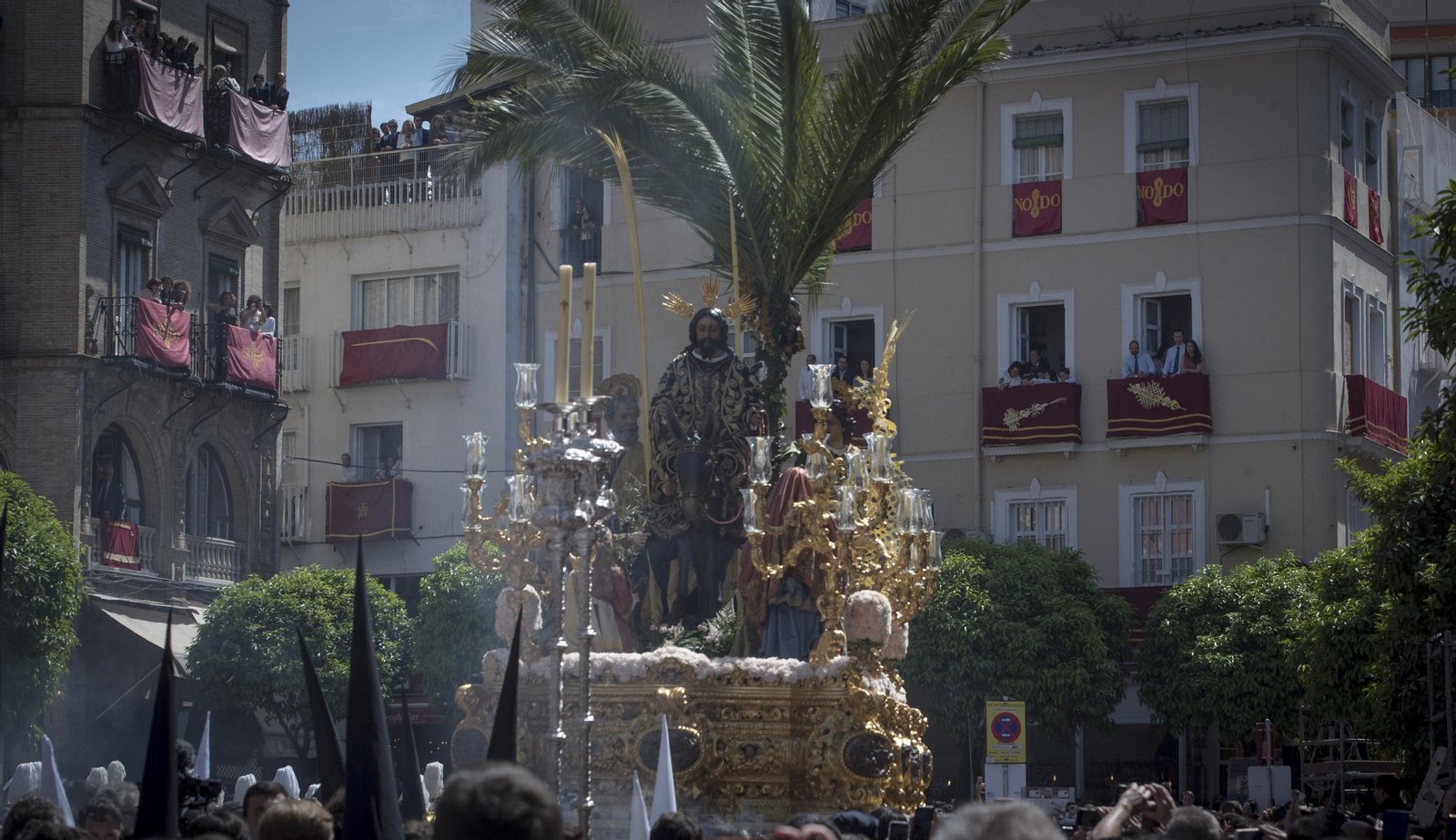 Fotos de la salida de La Borriquita, en el Domingo de Ramos de Sevilla
