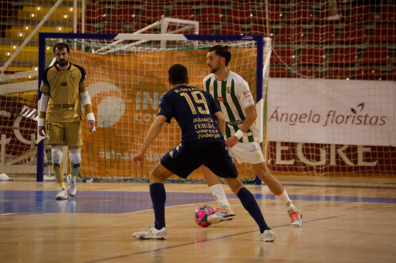 Las mejores fotos del ambiente en Vista Alegre para el Córdoba Futsal - O Parrulo Ferrol
