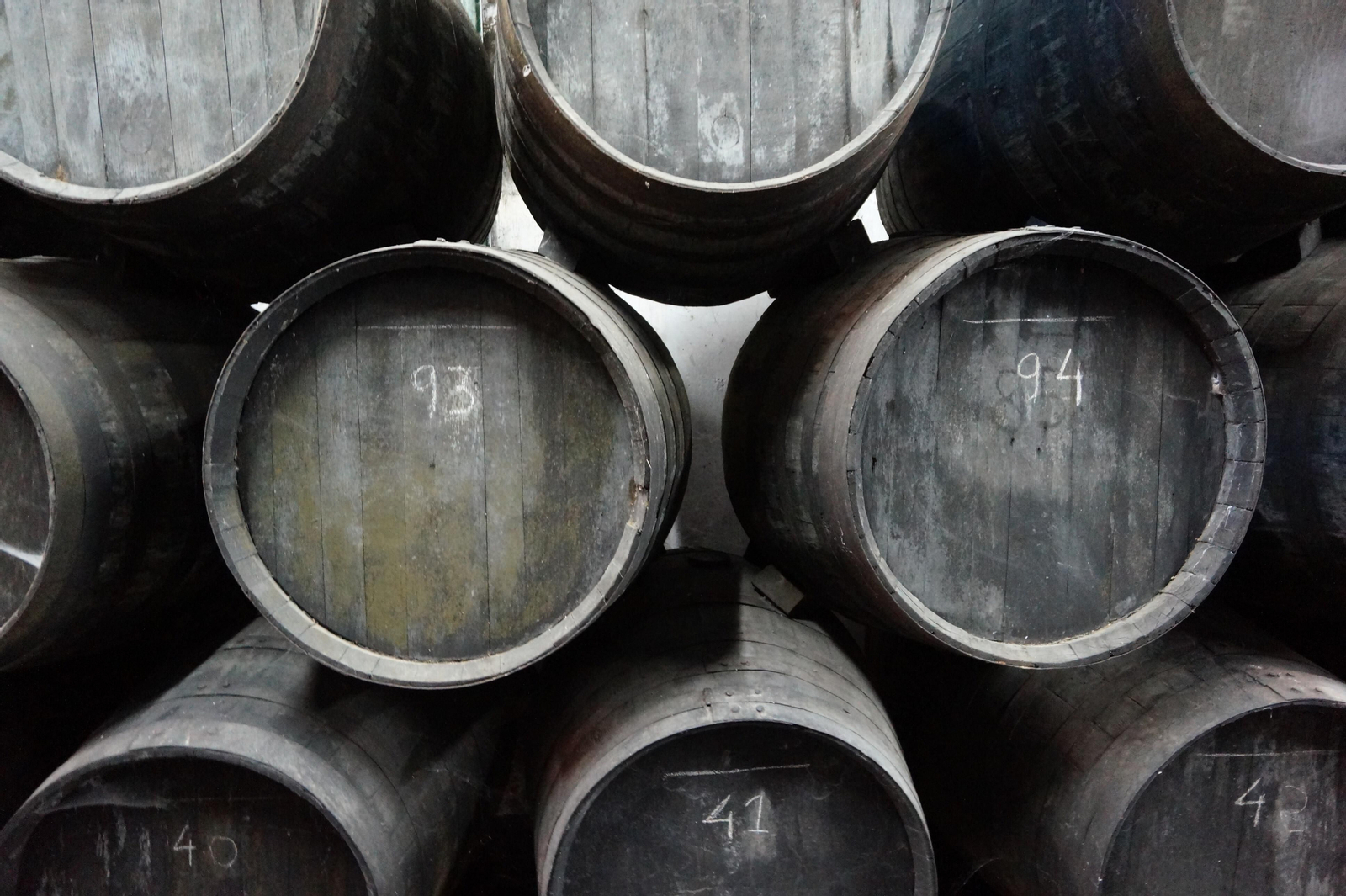 Un recorrido en fotografías por el vino nuevo de Moriles