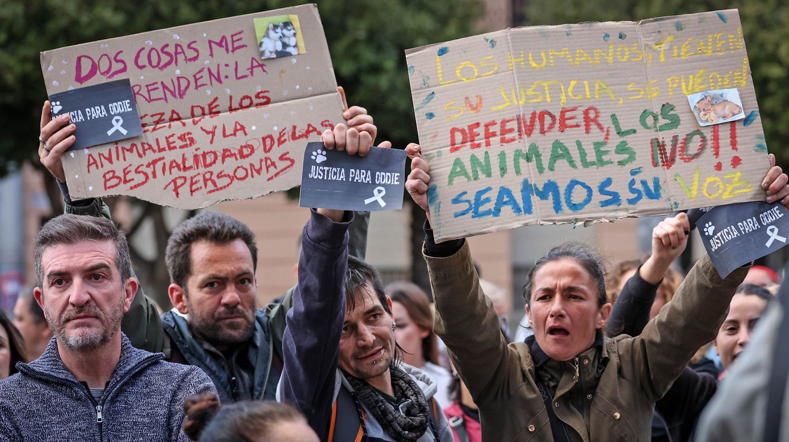 Protestas por el asesinato del perrito 'Oddie' en Jerez