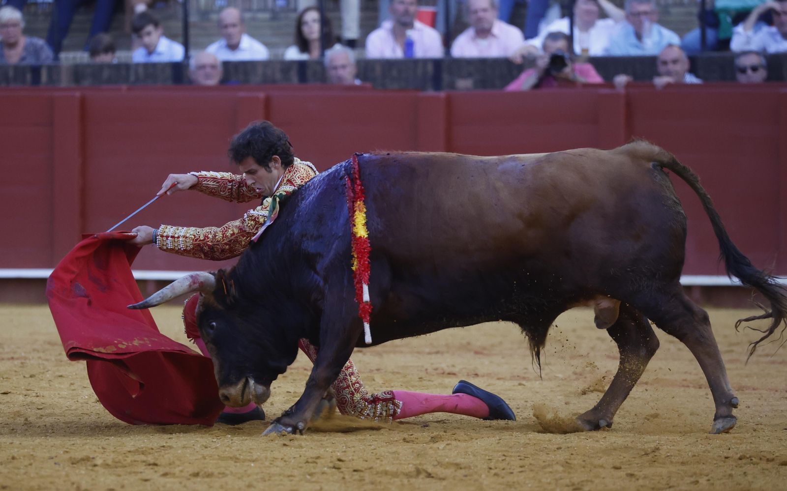 Las imágenes de la novillada en la Maestranza