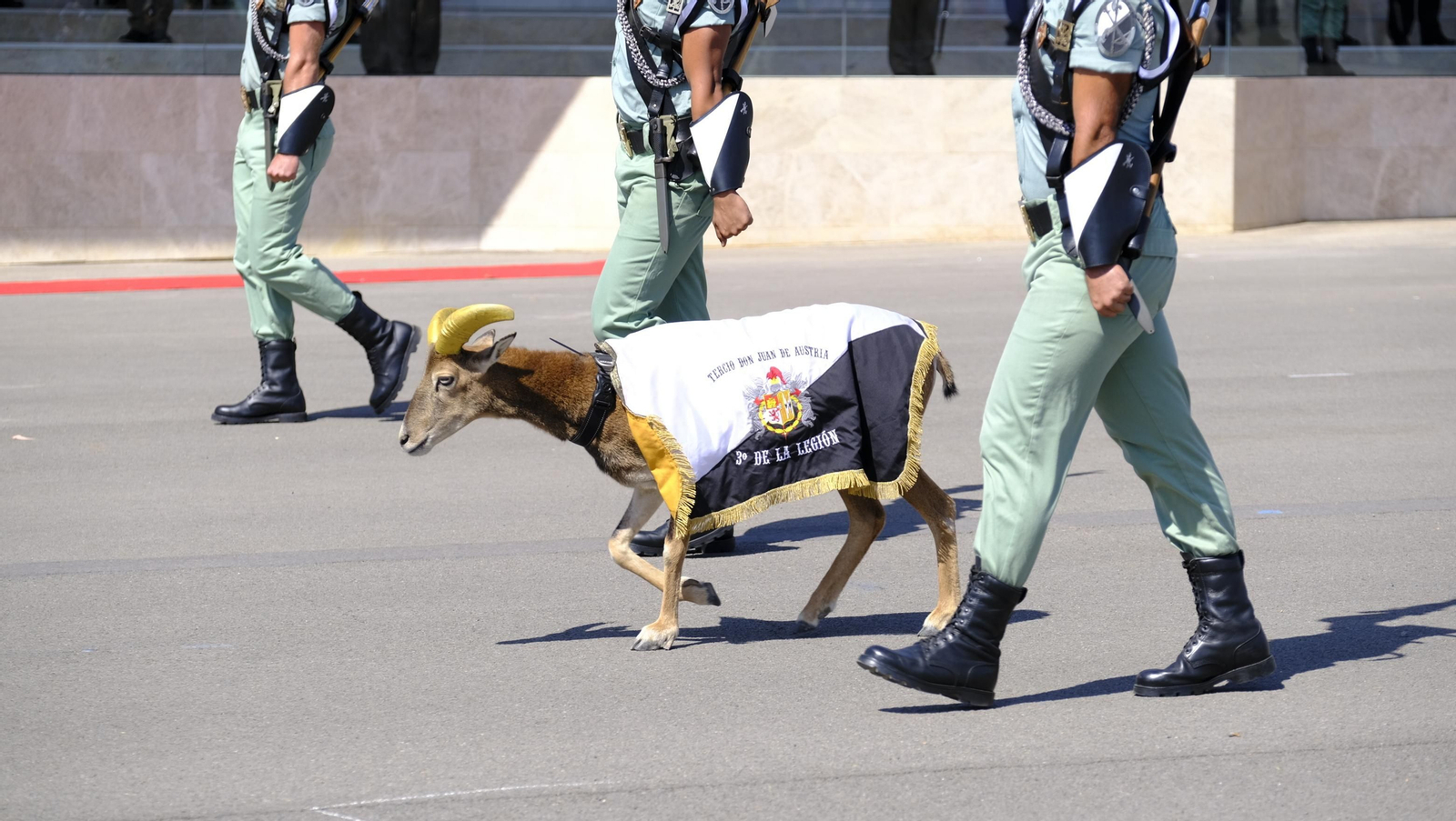 Jornada de puertas abiertas de La Legión Española en Viator
