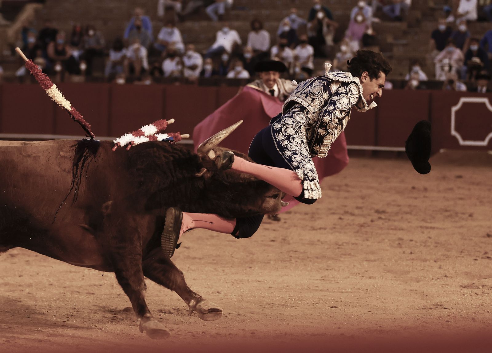 Fotos de la segunda novillada de la feria de San Miguel de Sevilla