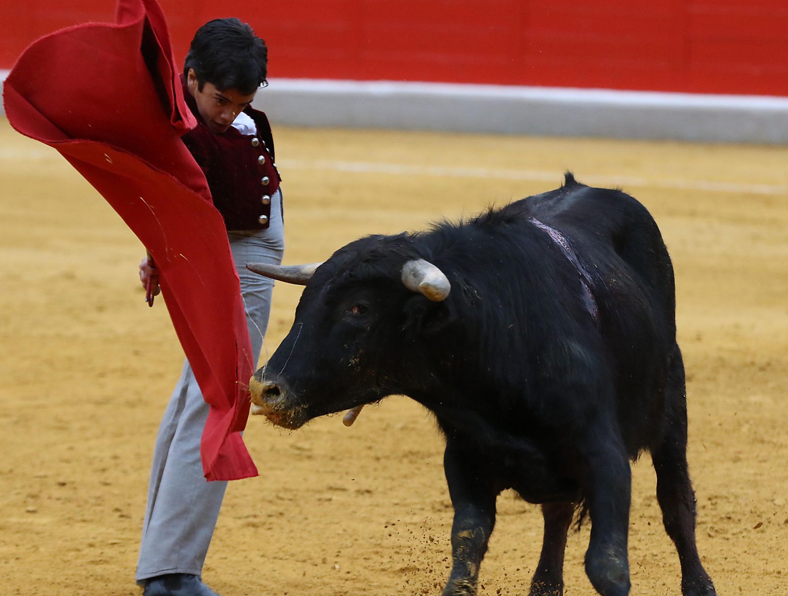 El Festival Taurino Granadown, en imágenes