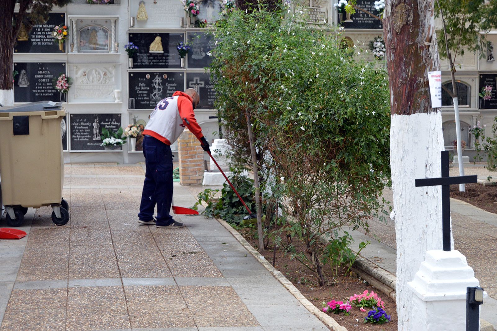 Trabajos de limpieza en el Cementerio Municipal de San Juan del Puerto