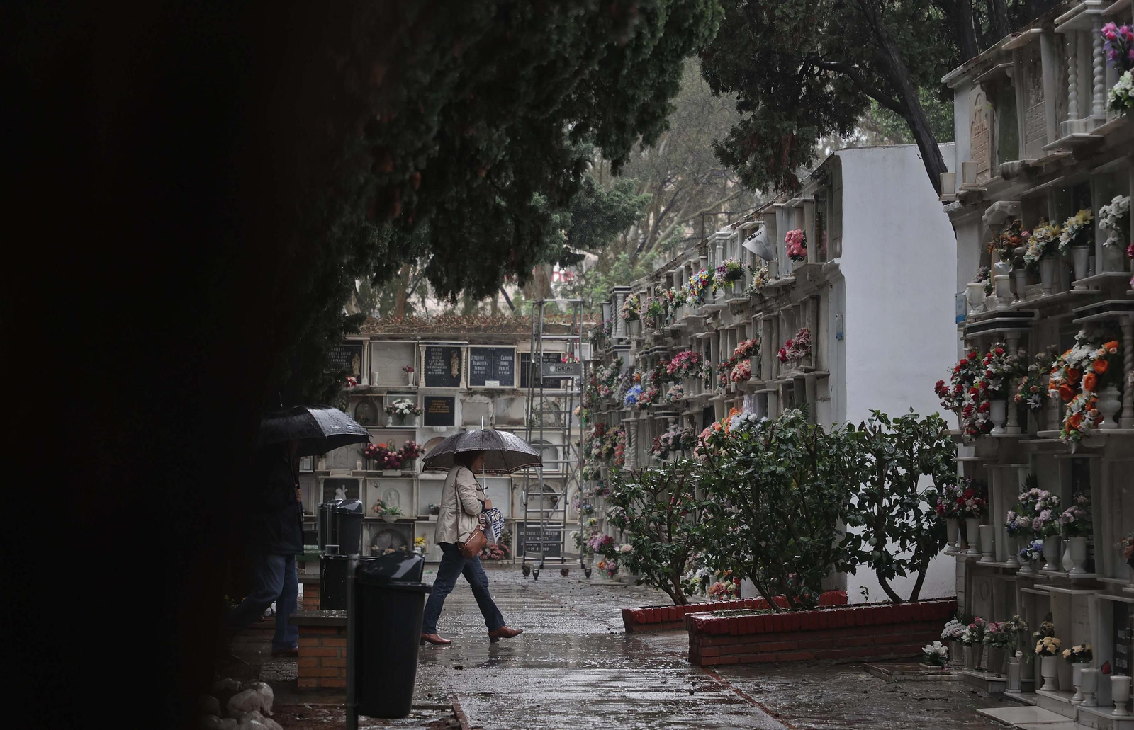 Fotos de los preparativos para Tosantos en el cementerio de Algeciras