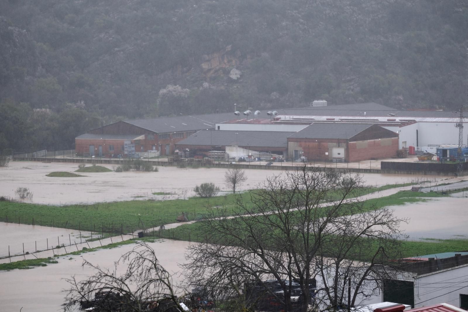 El paso de la borrasca Leonardo, en imágenes