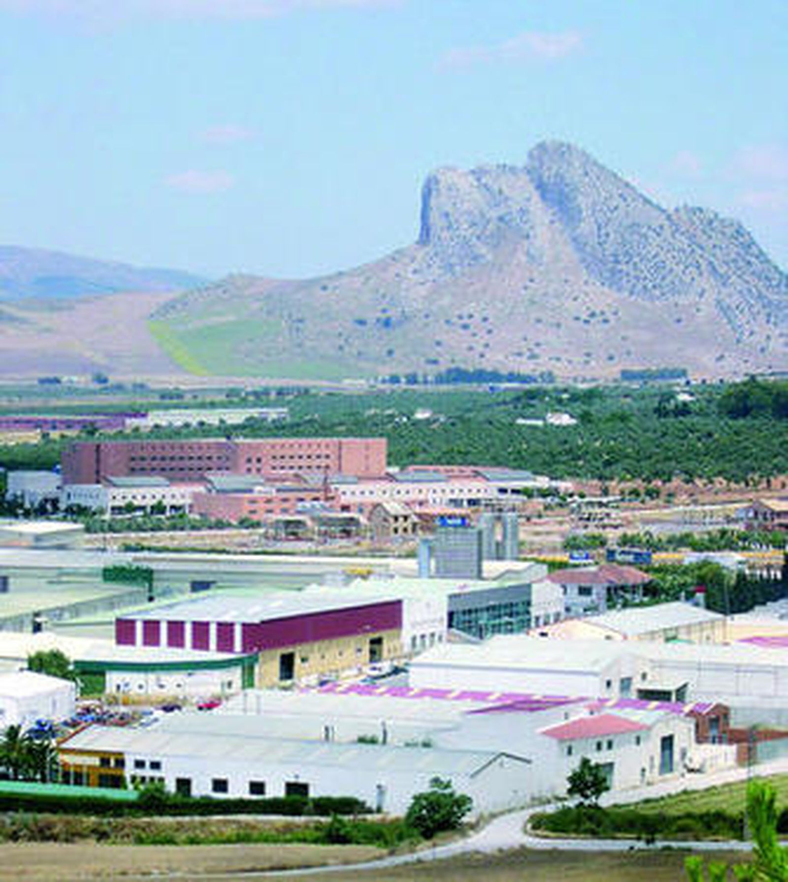 Vista del polígono industrial de Antequera.