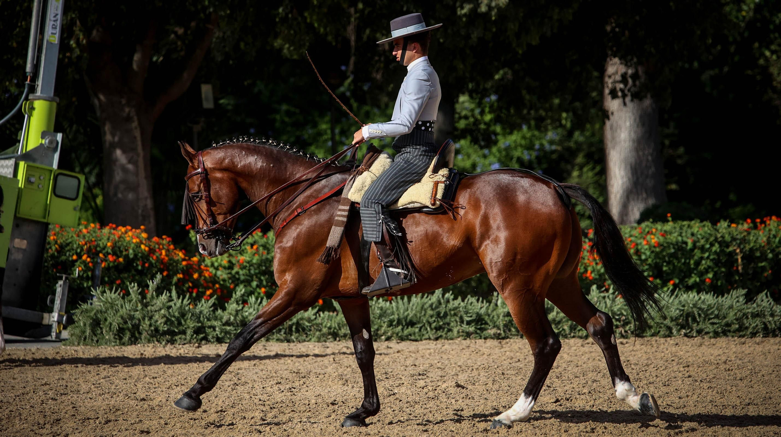 Campeonato de España de Doma Vaquera en Jerez
