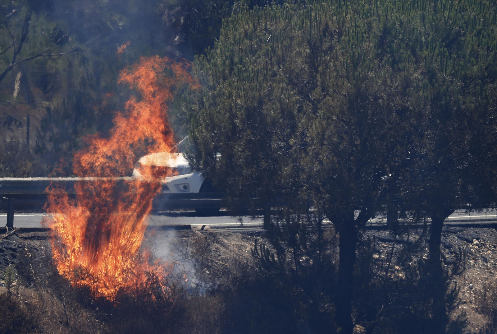 Imágenes del espectacular incendio entre en el paraje de la raya de Aljaraque y Marismas del Odiel