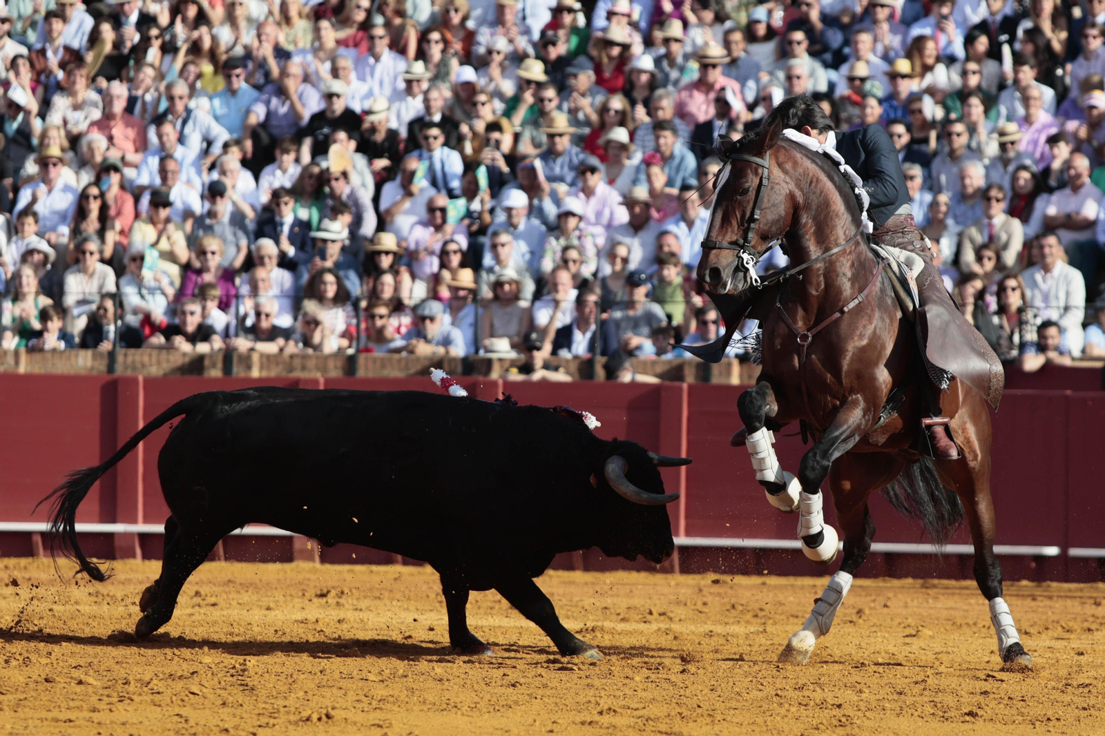 Las imágenes de la corrida de rejones