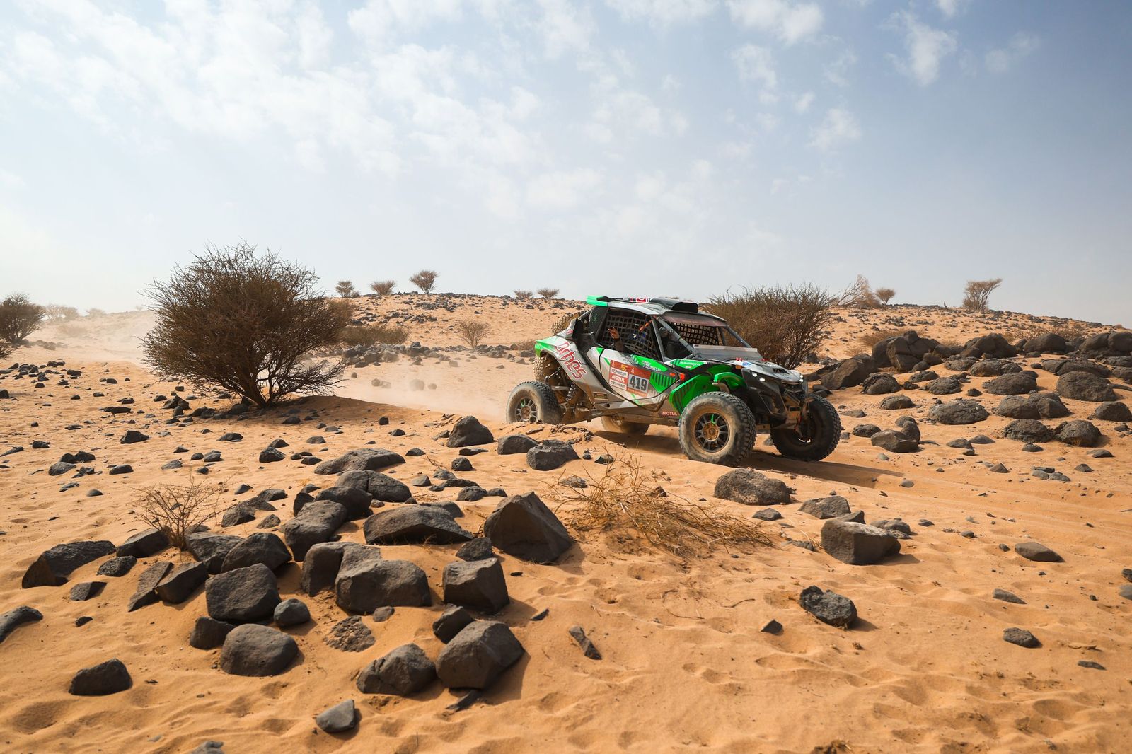 Las mejores fotos del Rally Dakar | undécima etapa