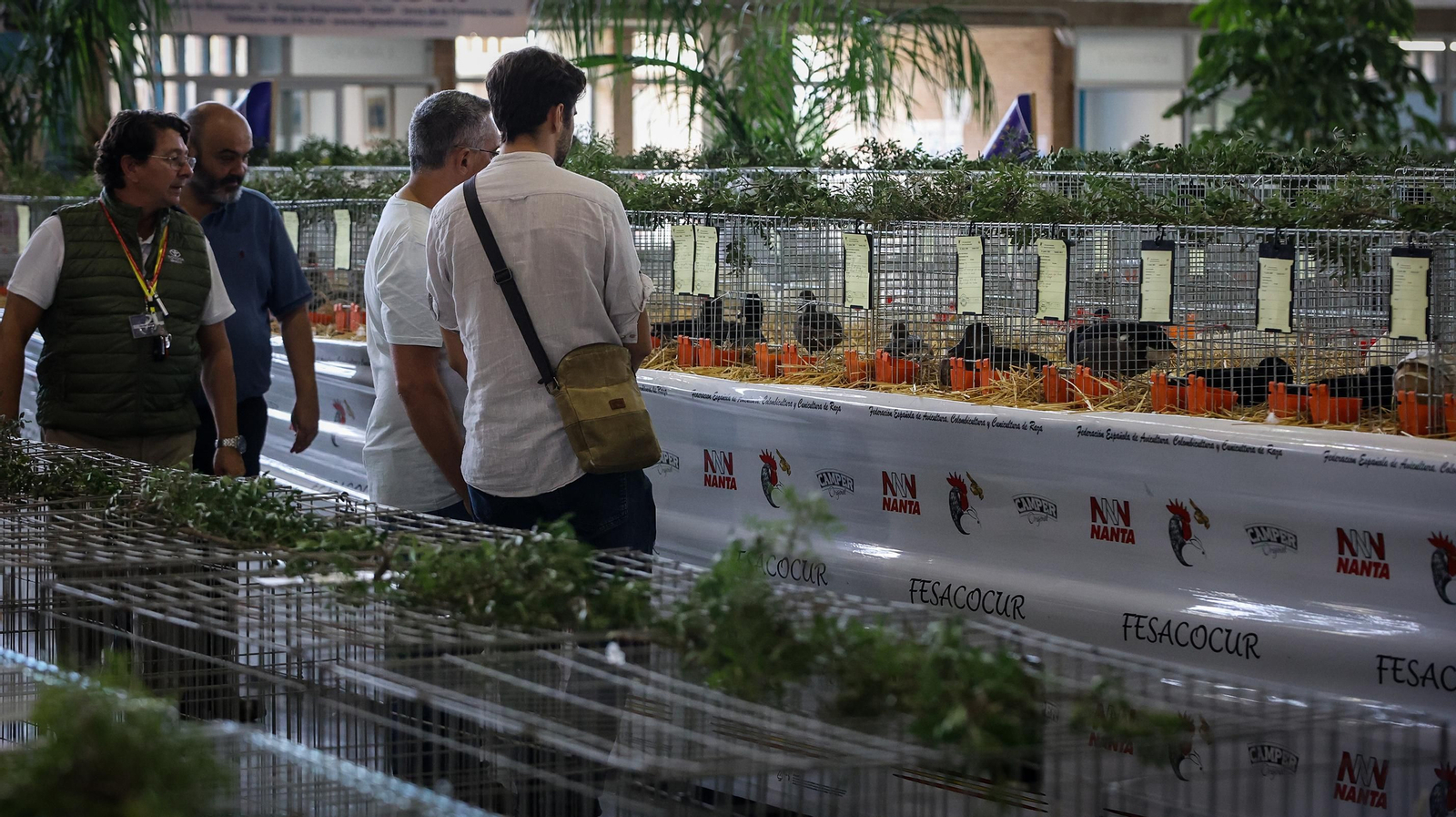 Comienza la feria de la ganadería y la agricultura en IFECA