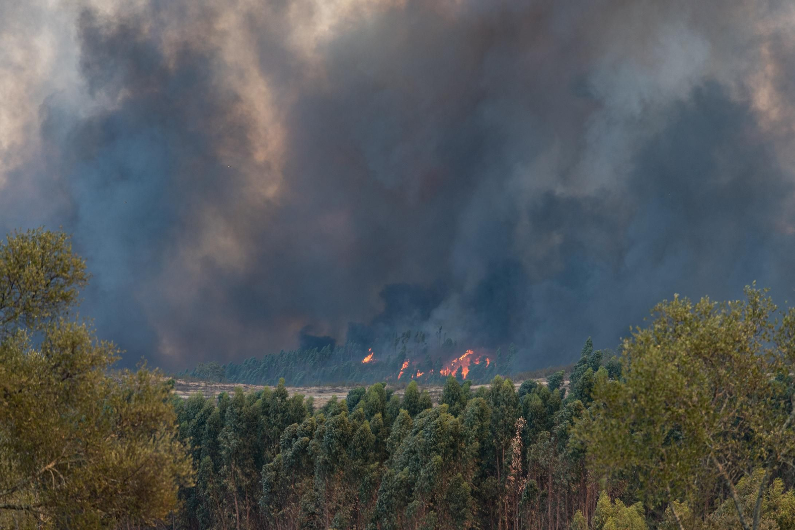 Imágenes del incendio de Almonaster a su paso por Zalamea