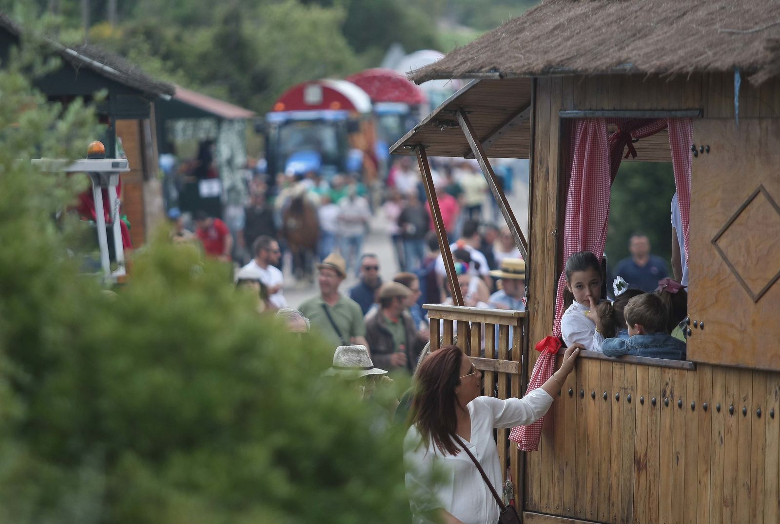 La Romería de Los Barrios, en imágenes