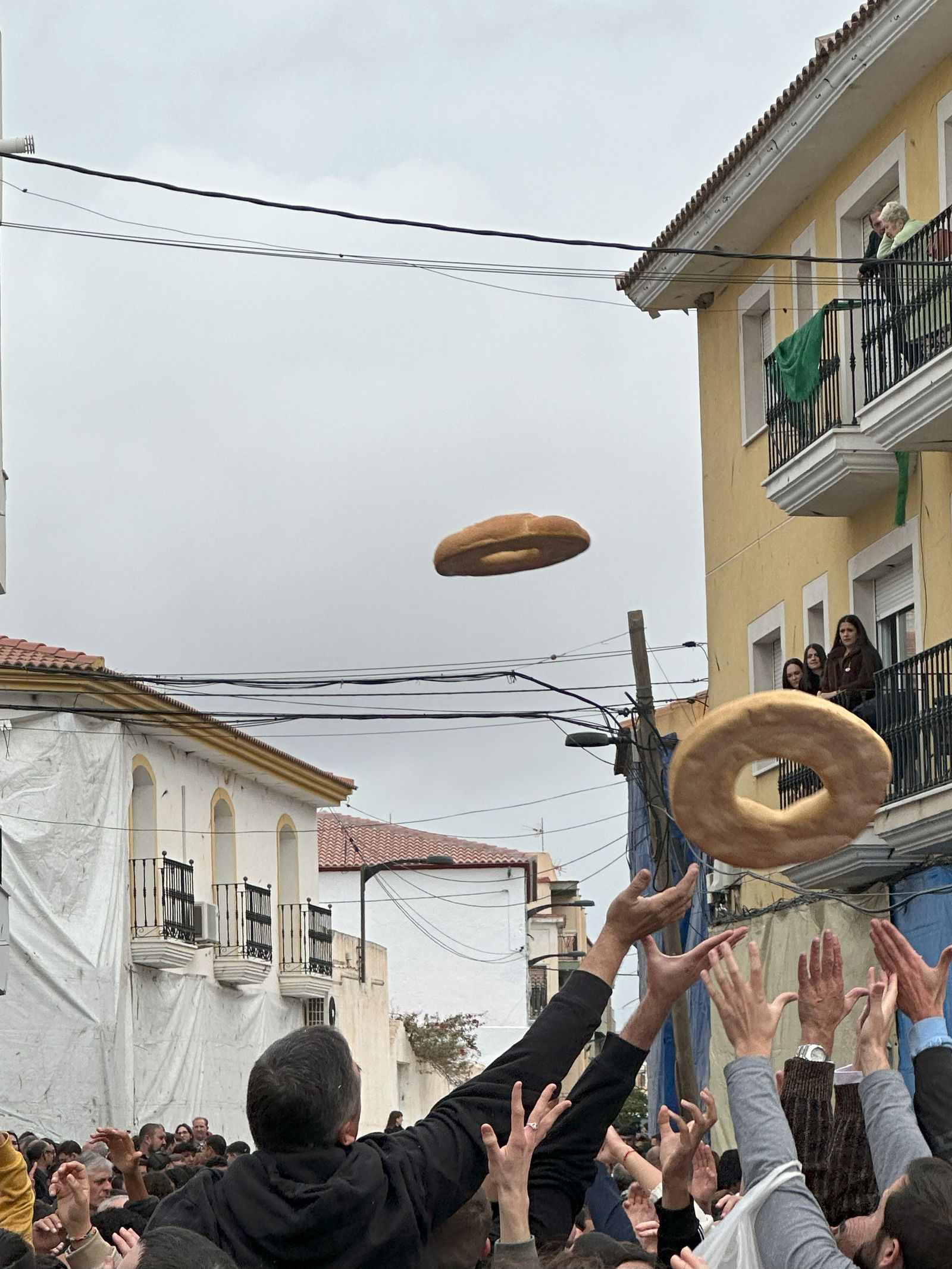 Fotogaleria de la procesión de San Sebastián en Olula del Río