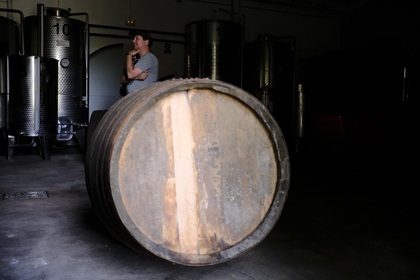 El regreso del turismo extranjero a las bodegas rondeñas, en fotos