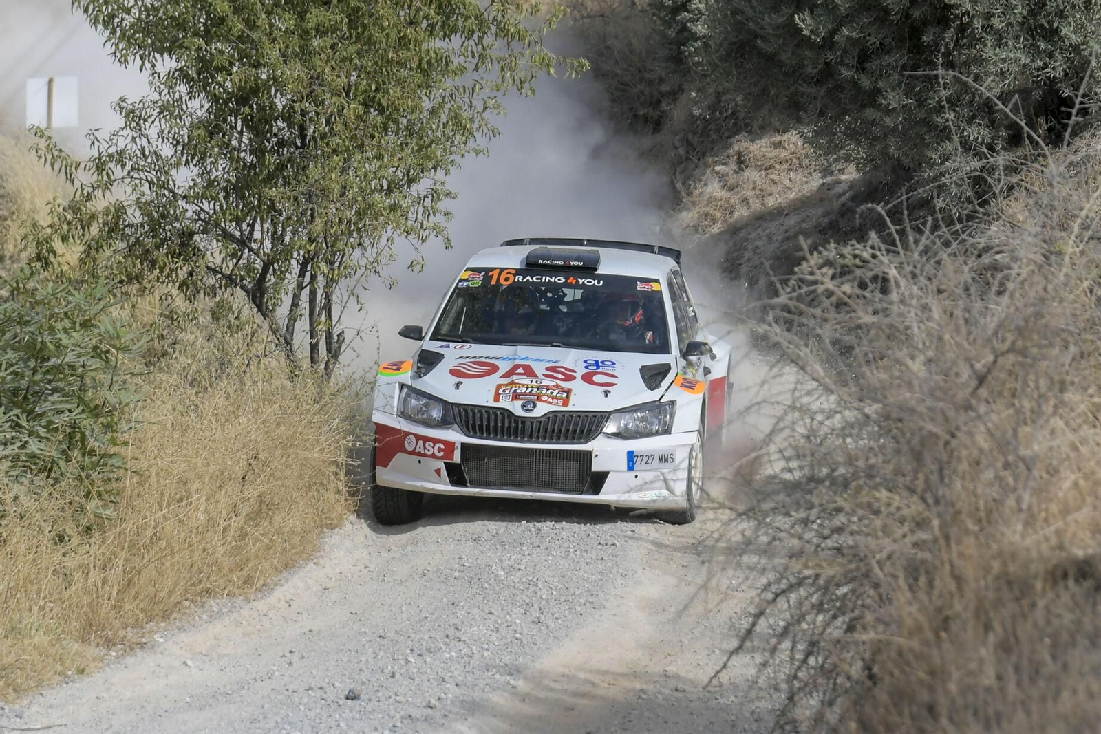 Así ha sido el Rallye Ciudad de Granada, en imágenes