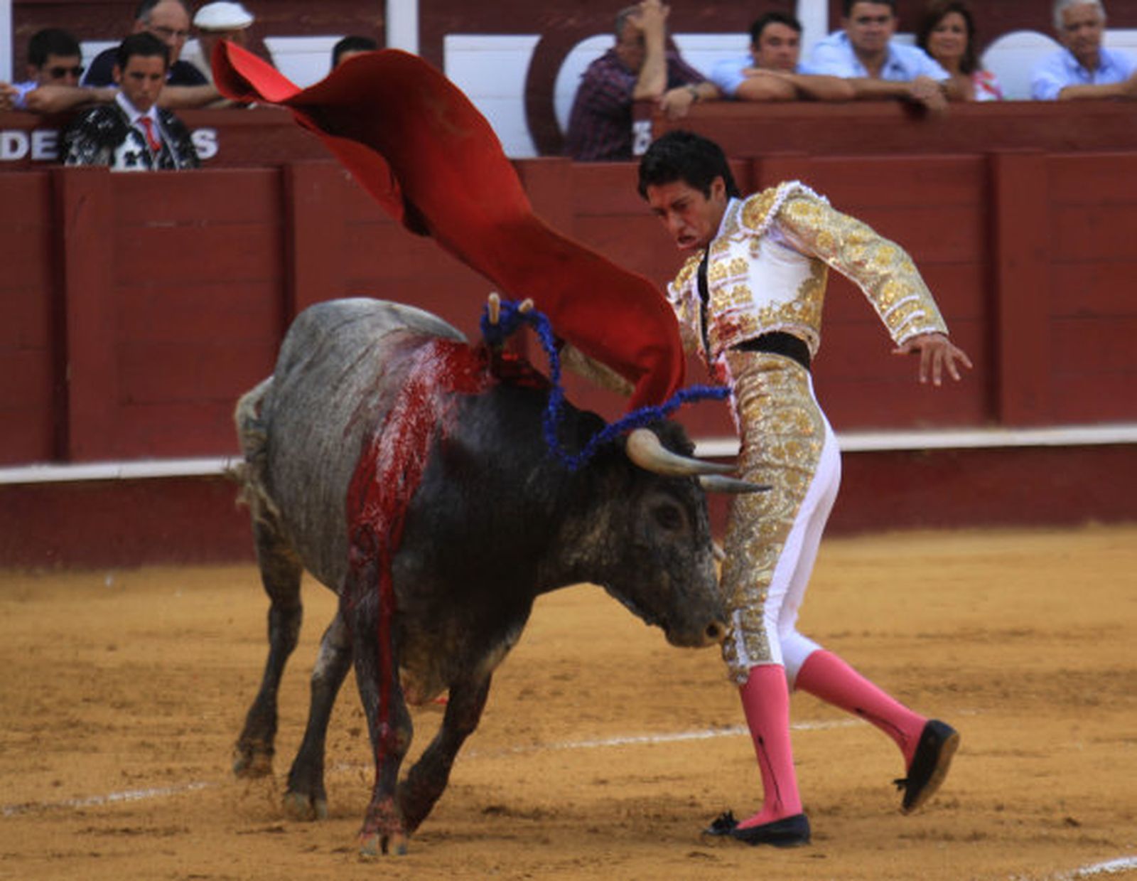 Un entrante servido frío