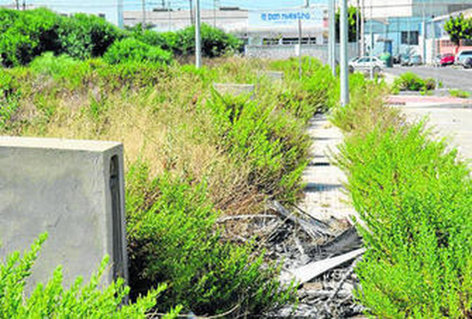Polígono industrial de Fadricas II, donde la maleza crece en las parcelas sin naves construidas.
