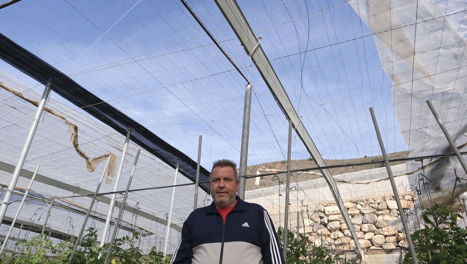 Los efectos del temporal de viento en los invernaderos, en imágenes
