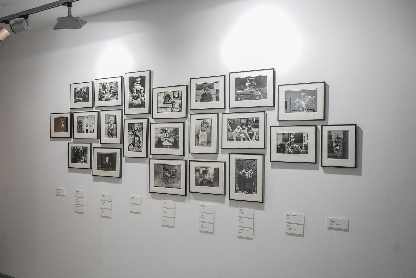 La UGR homenajea a Francisco Fernández