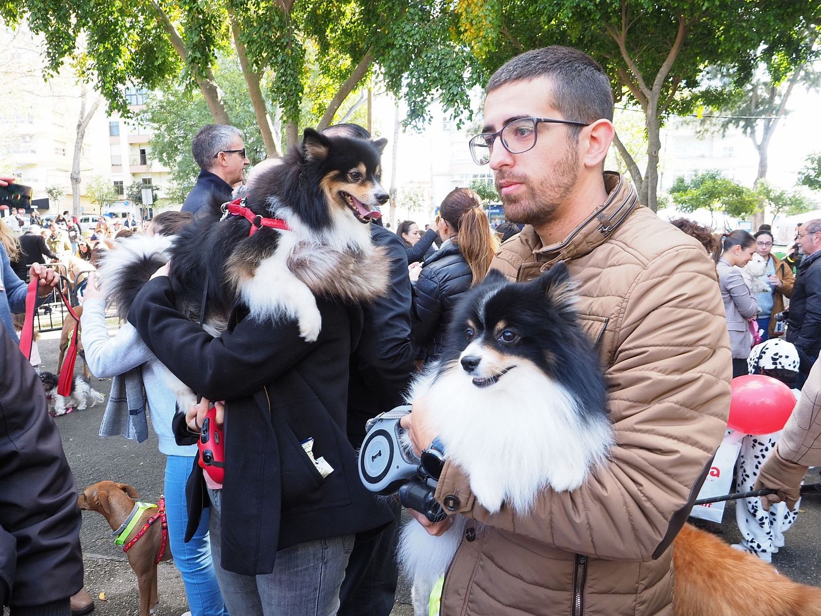 Algunas personas con sus perros, mientras esperan los concursos de San Antón, en una imagen de archivo.