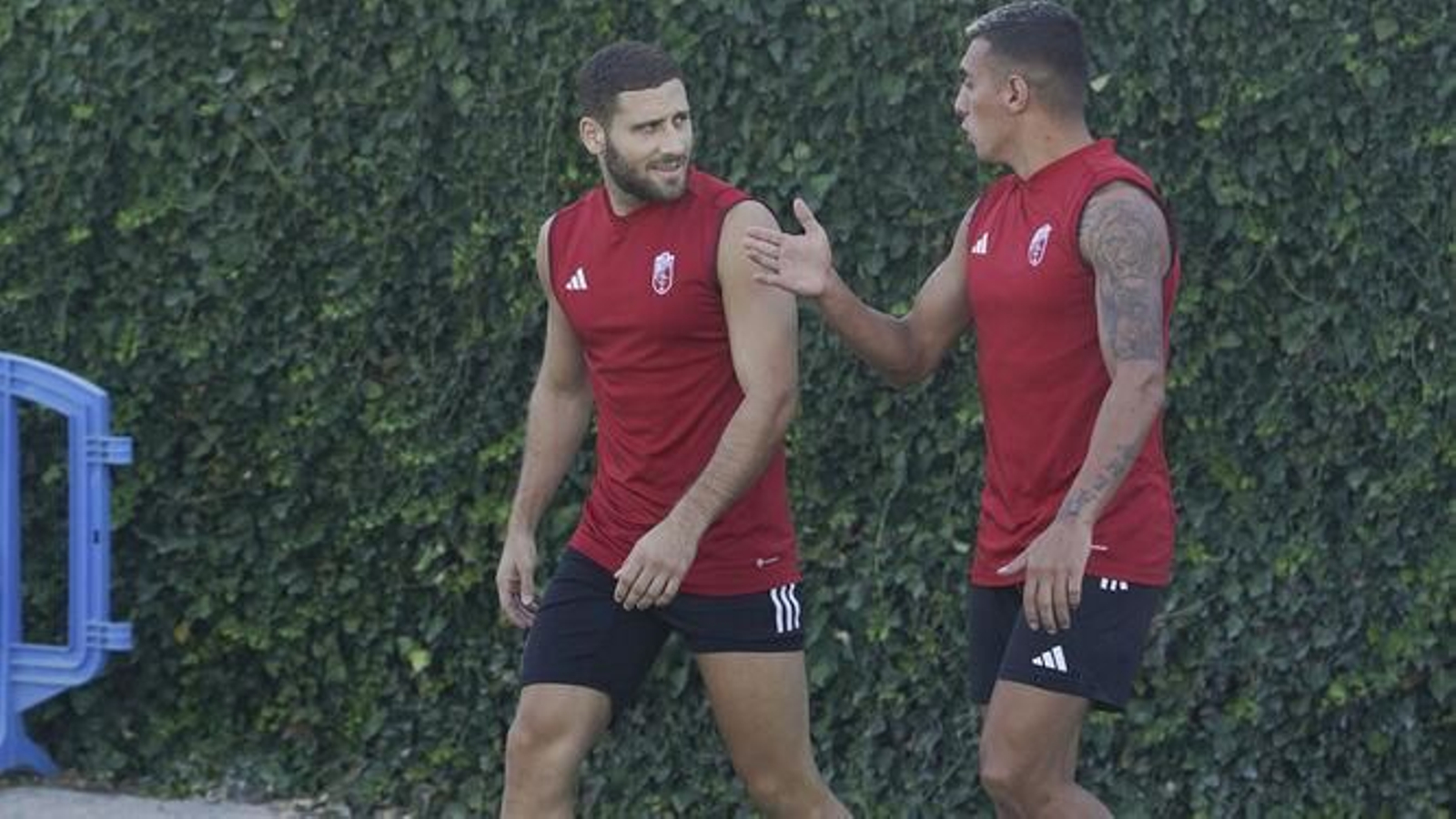 Weissman y Uzuni antes de un entrenamiento