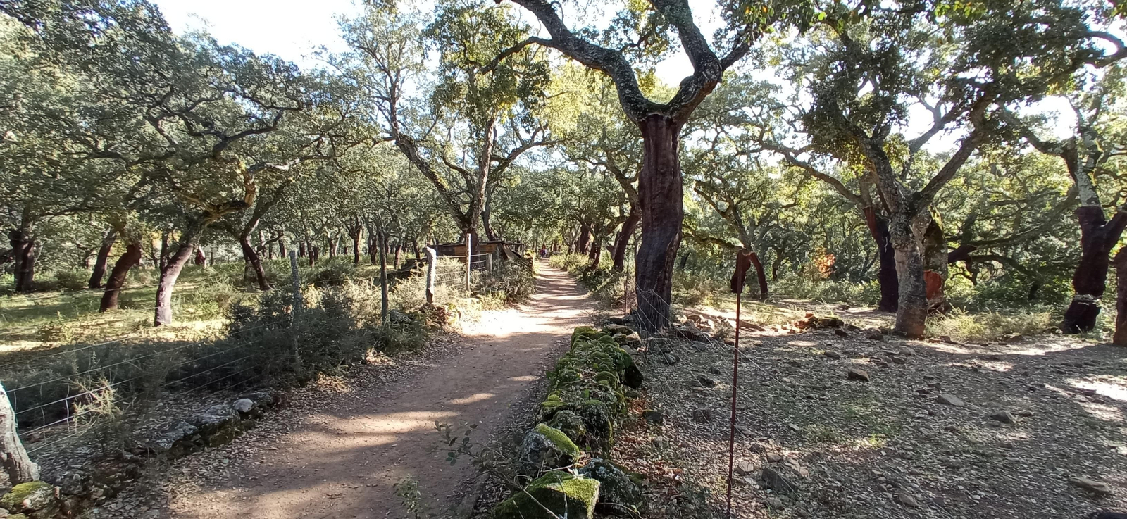Las imágenes de la ruta de la cascada de Jollarancos y bosque de las letras