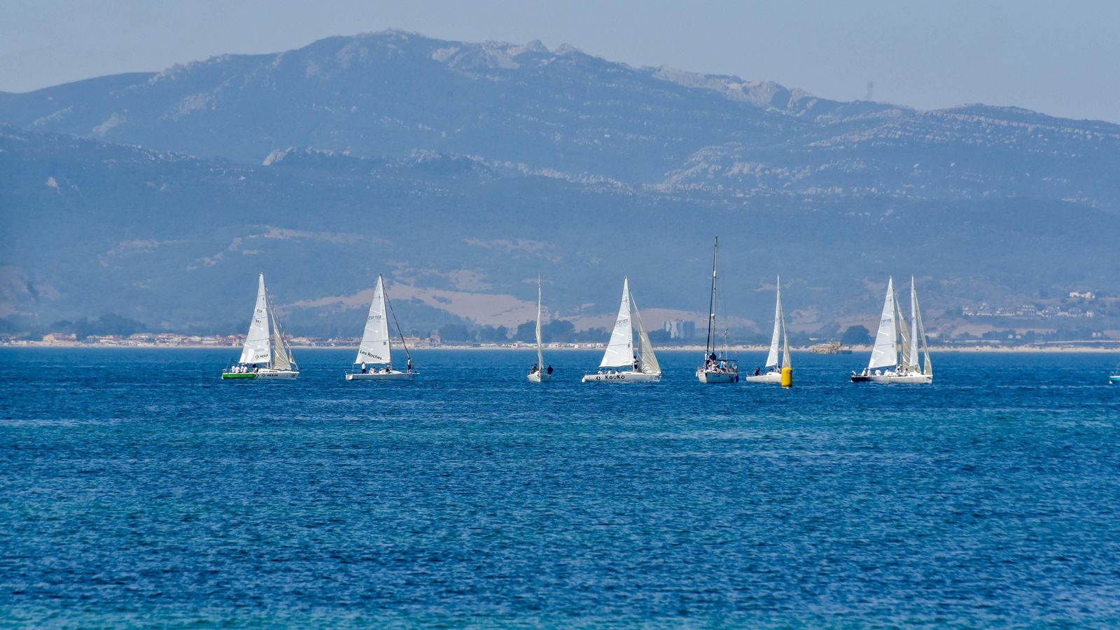Las fotos de la Regata de vela J80 en La Línea