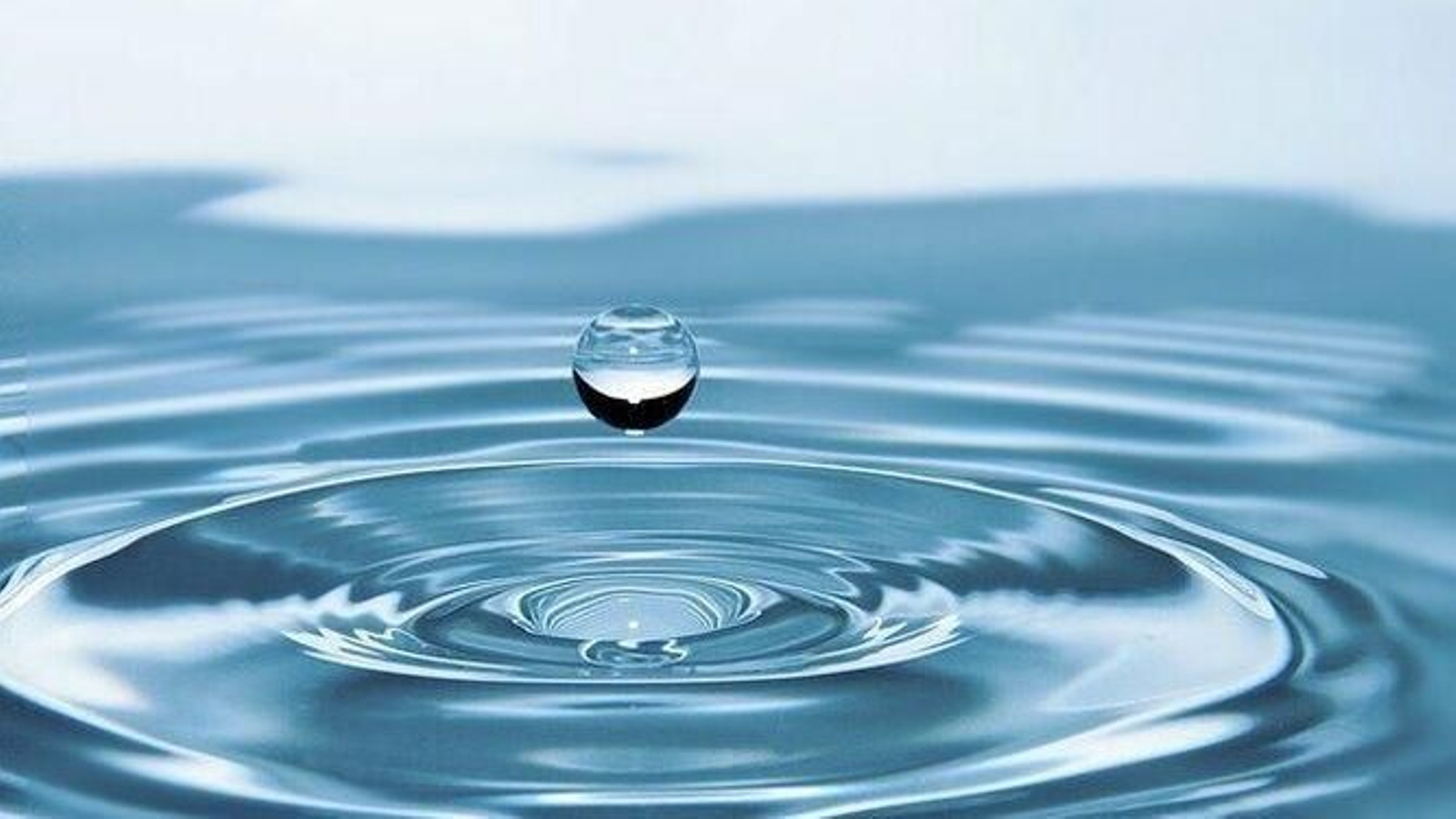 El objetivo del concurso es concienciar a los jóvenes de la importancia del agua en el día a día. El objetivo del concurso es concienciar a los jóvenes de la importancia del agua en el día a día.