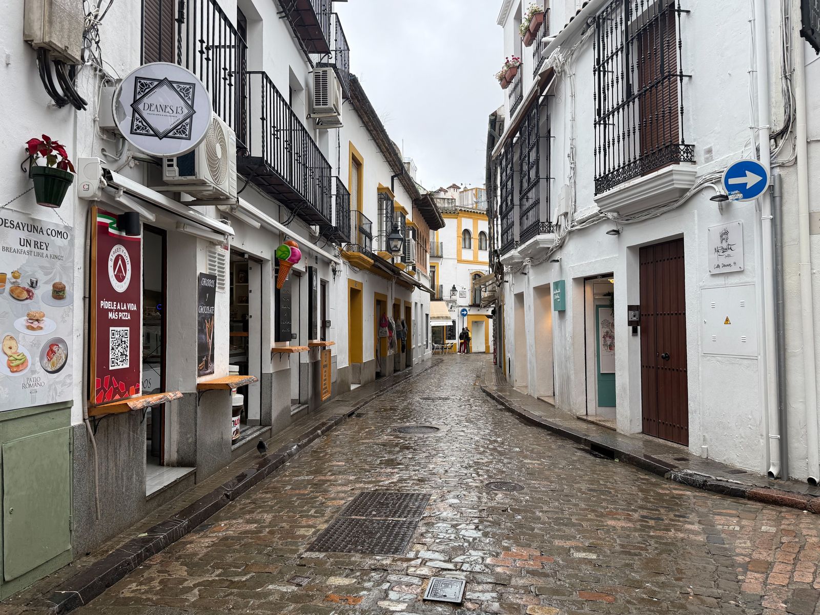 Las fuertes rachas de viento y la lluvia dejan las calles de Córdoba vacías