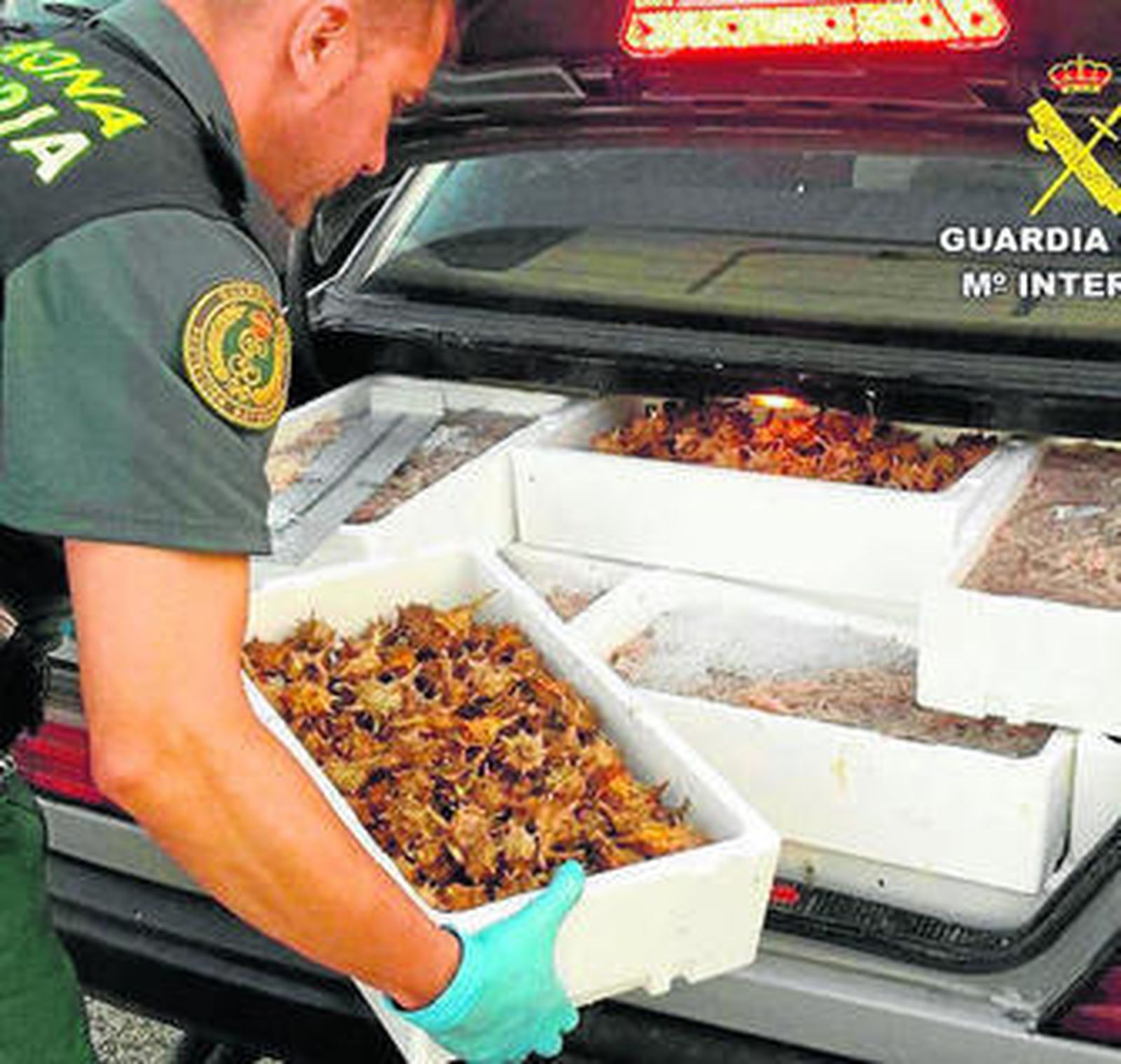Participantes en las Jornadas de Acuicultura, ayer en Cartaya.