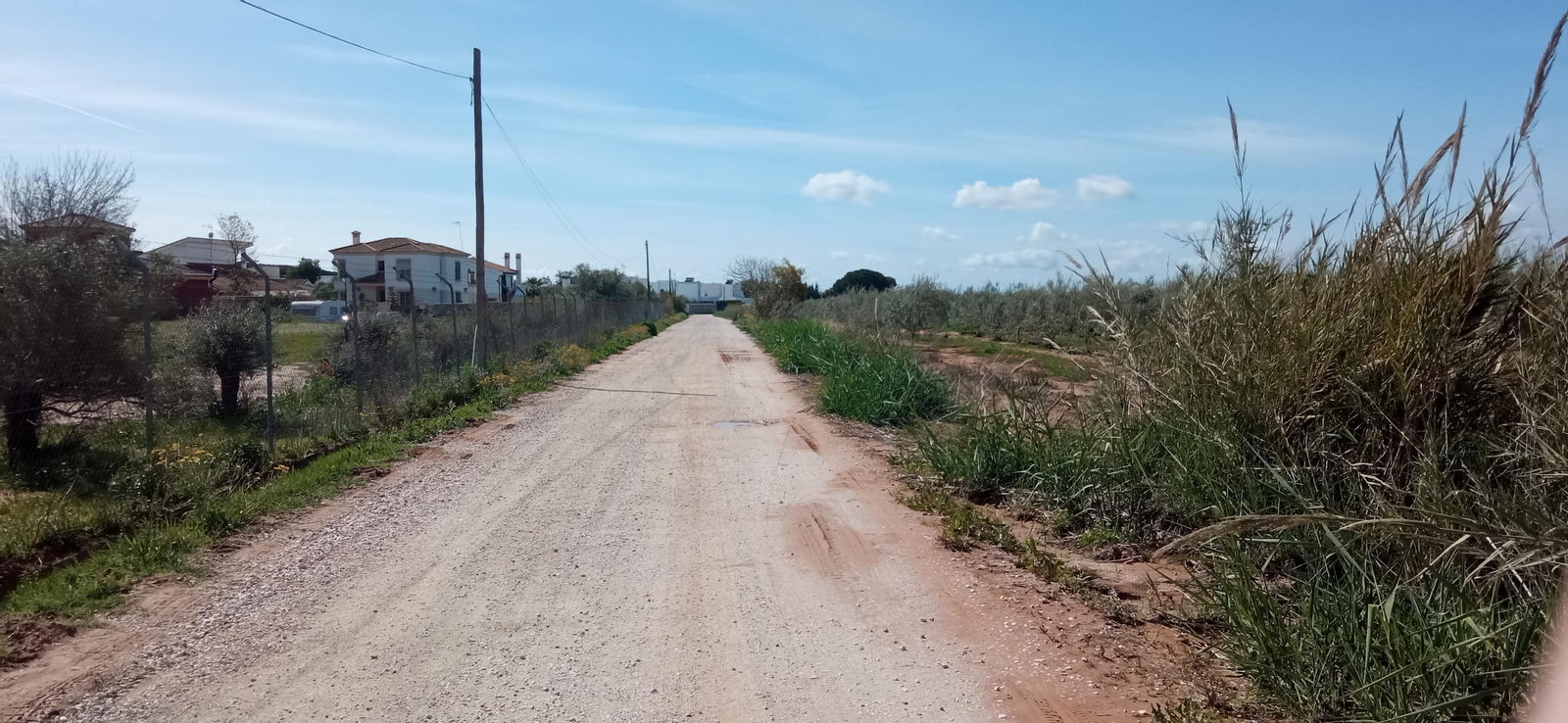 Las imágenes de la Ruta Azul en Bollullos de la Mitación
