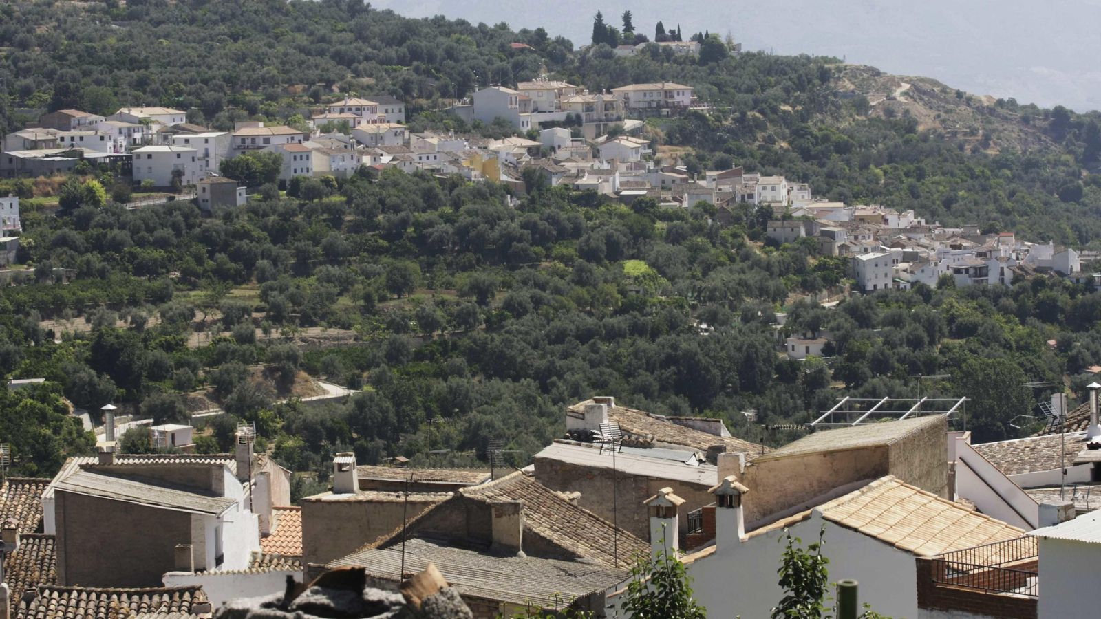 Vista del paisaje olivarero de Albuñuelas, que pretende ser declarado Patrimonio Mundial Vista del paisaje olivarero de Albuñuelas, que pretende ser declarado Patrimonio Mundial