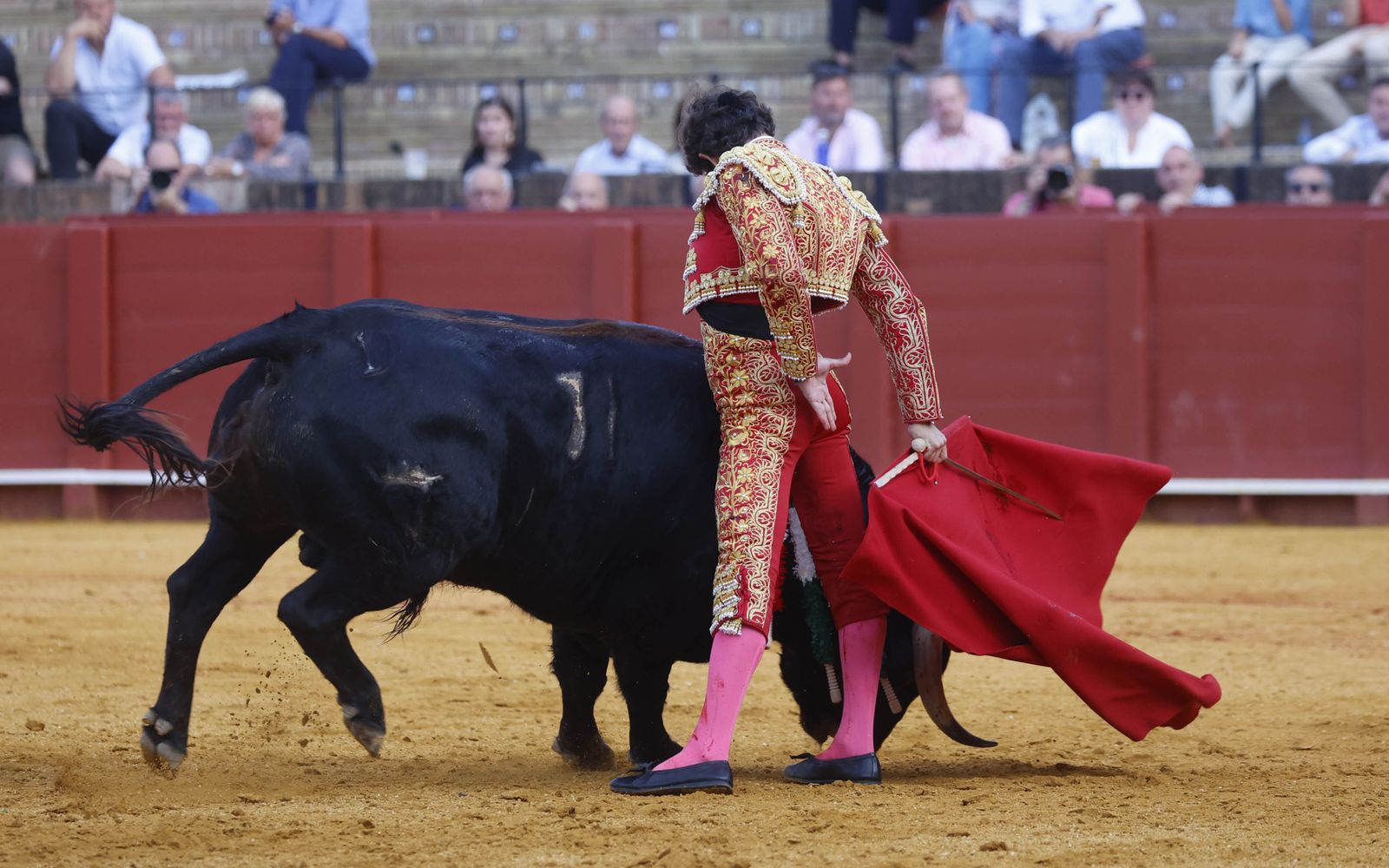 Las imágenes de la novillada en la Maestranza