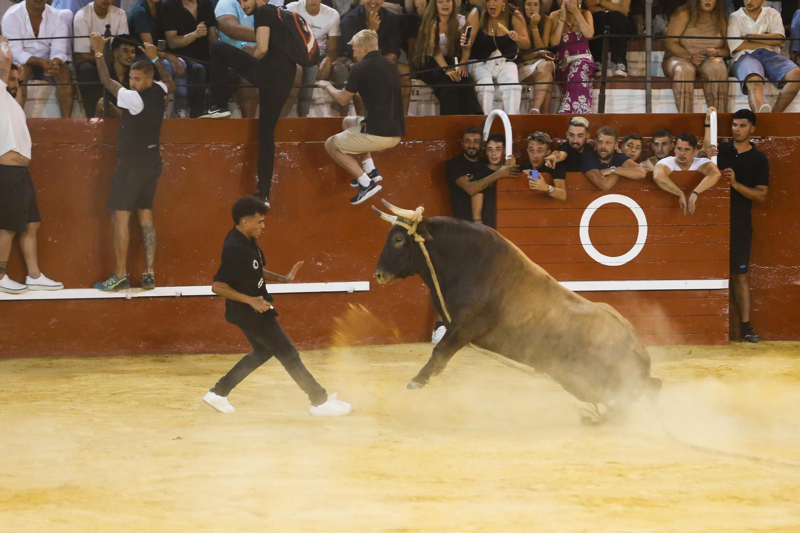 Fotos del Toro del Aguardiente en San Roque