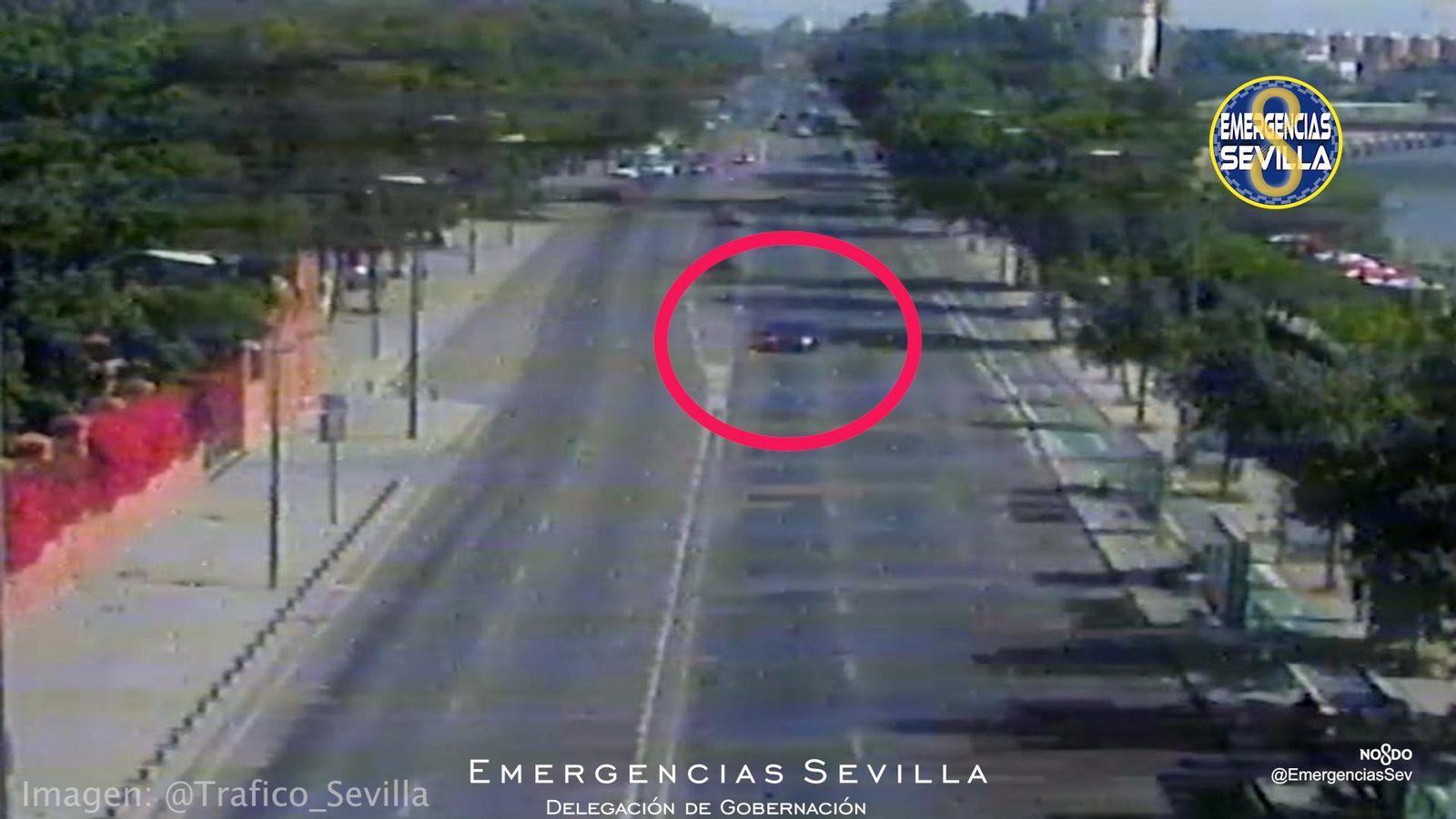 El Audi RS6, en los carriles del sentido contrario por el Paseo de las Delicias.