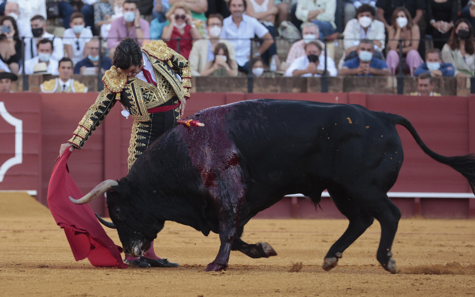 Las imágenes del primer festejo de San Miguel