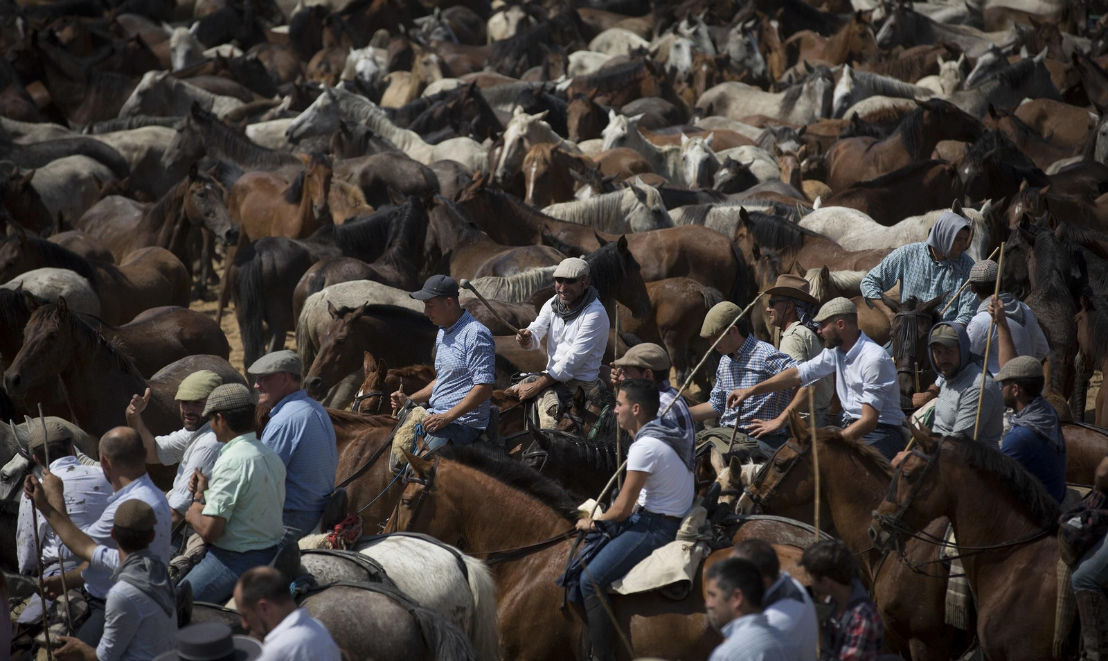 La tradicional y ancestral 'Saca de las  Yeguas', en imágenes