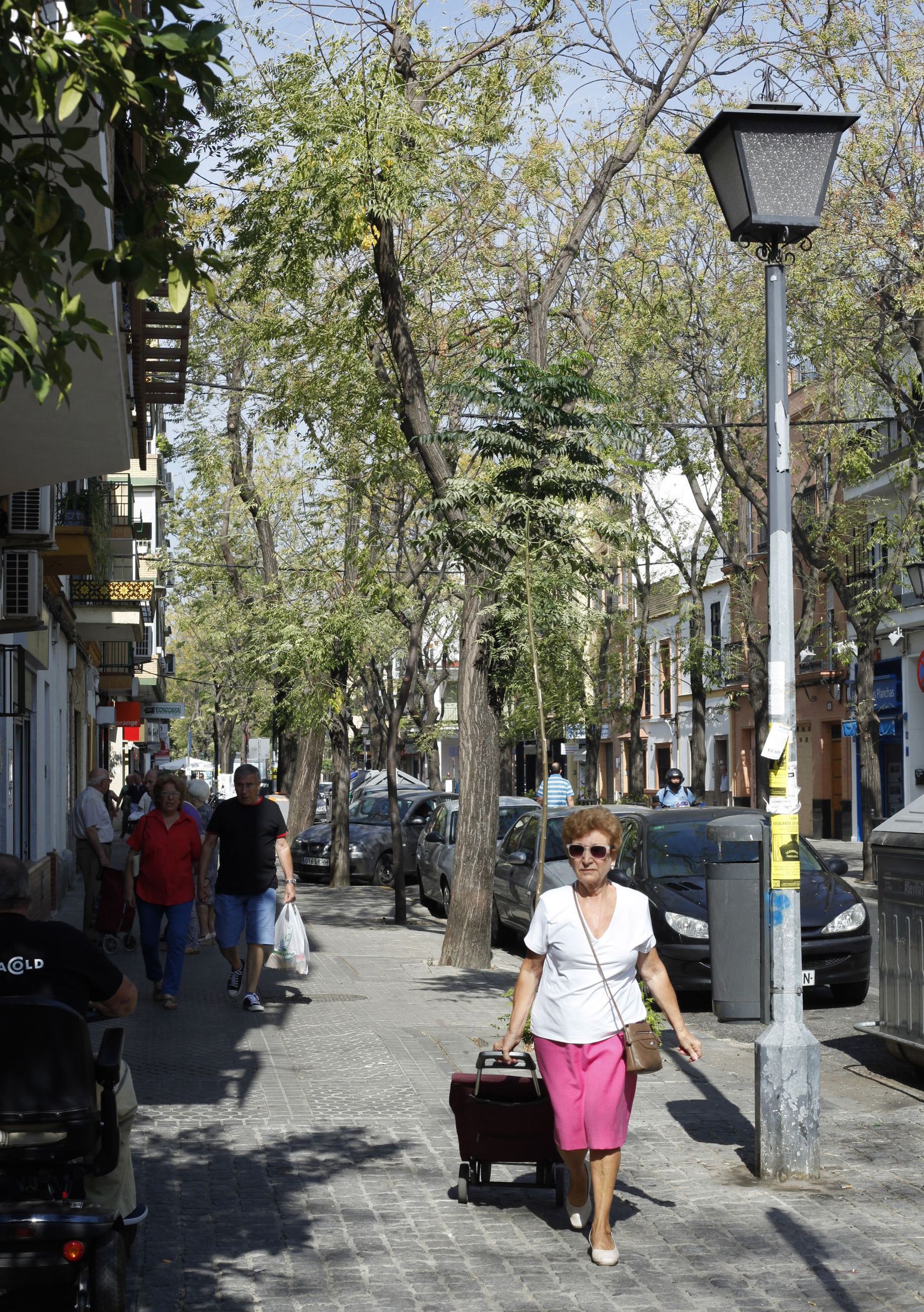 Afán de Ribera es una de las dos arterias principales del Cerro del Águila. La más comercial.