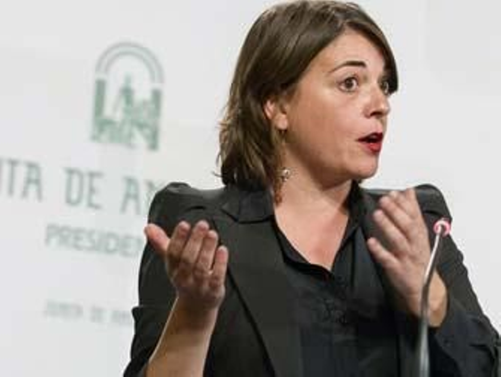 Manos Limpias denunciará a Elena Cortés por presunta prevaricación en el caso de la Corrala