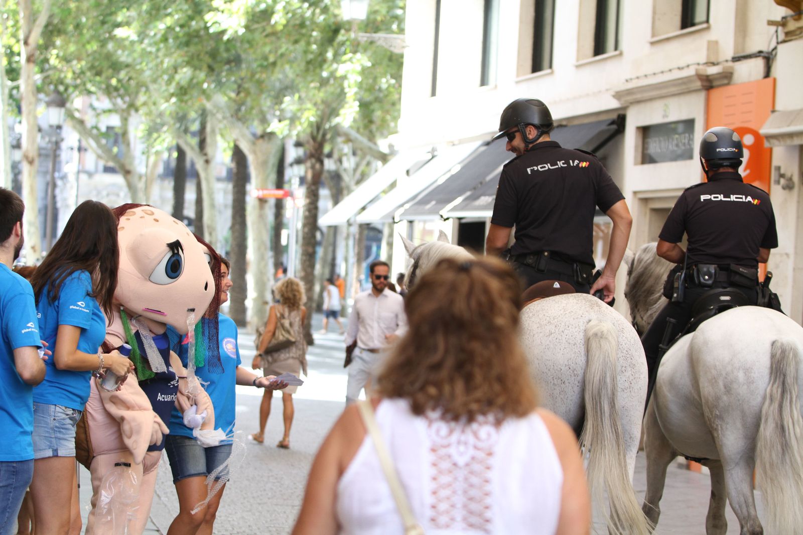 La tortuga Chelo del Acuario de Sevilla da comienzo a una acción de concienciación para difundir la cultura oceánica