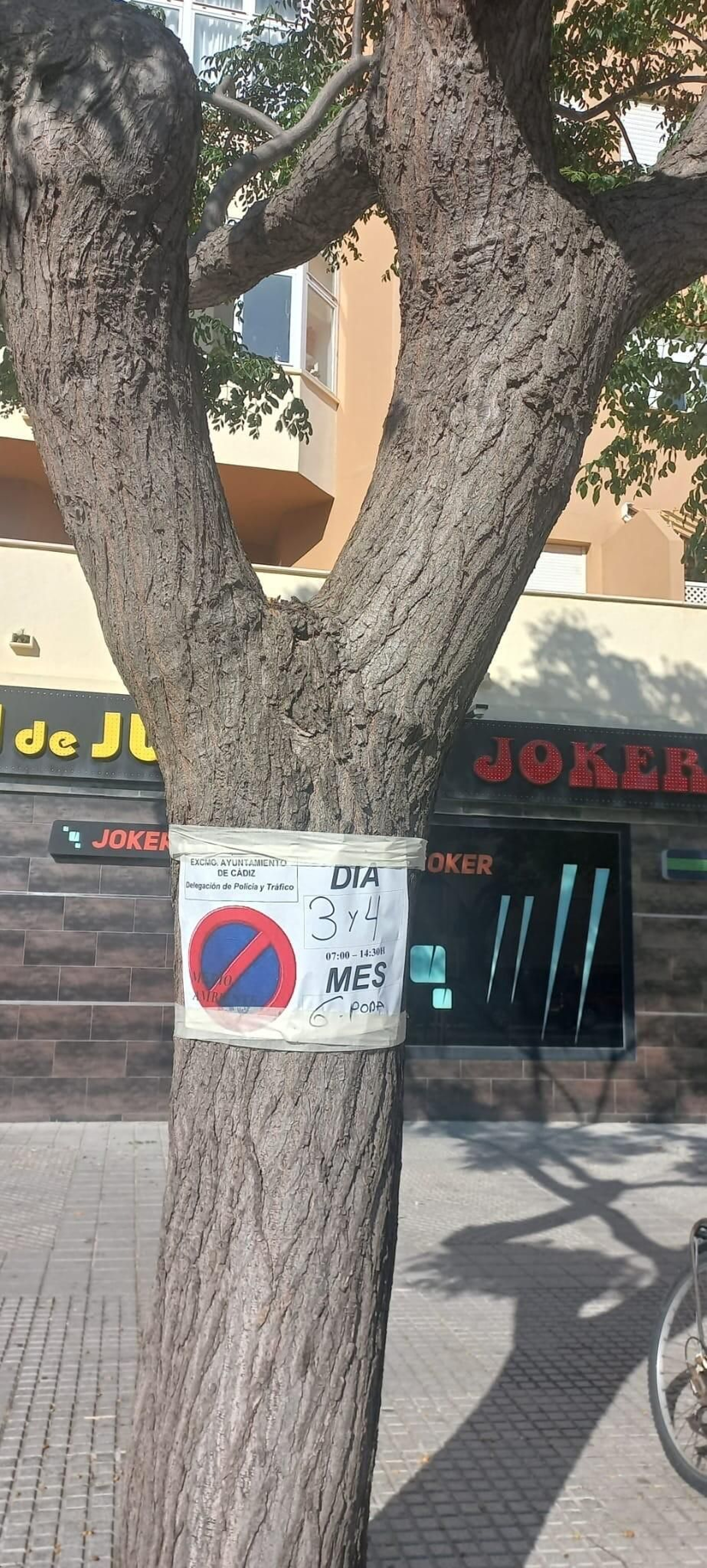 Cartel de aviso de poda para los pasados lunes y martes, en un árbol de la Avenida Cartel de aviso de poda para los pasados lunes y martes, en un árbol de la Avenida