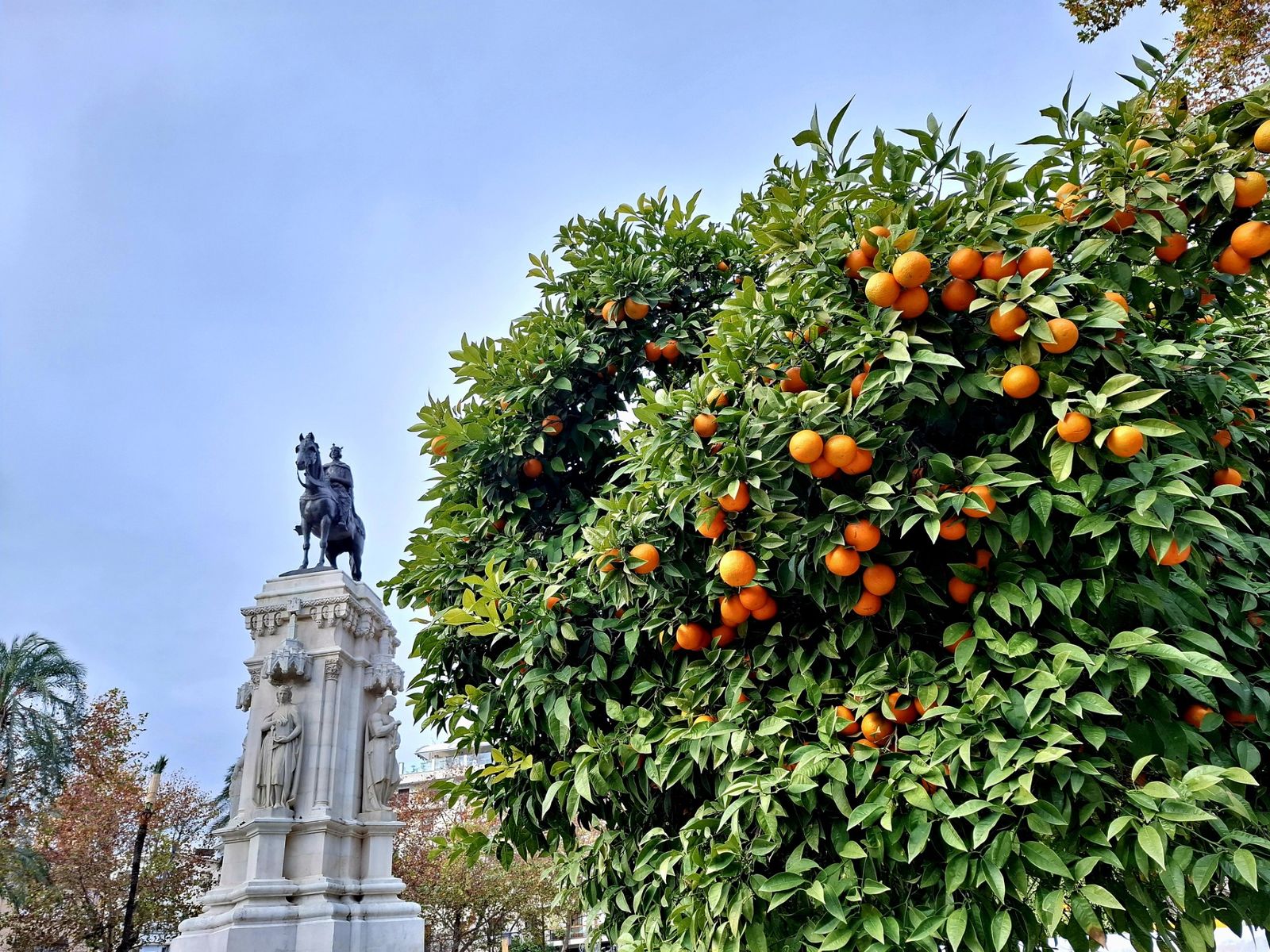 La ‘Naranja de Sevilla’