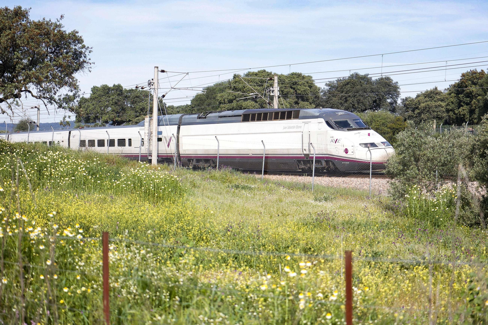 Un tren de alta velocidad a su paso por Los Pedroches.