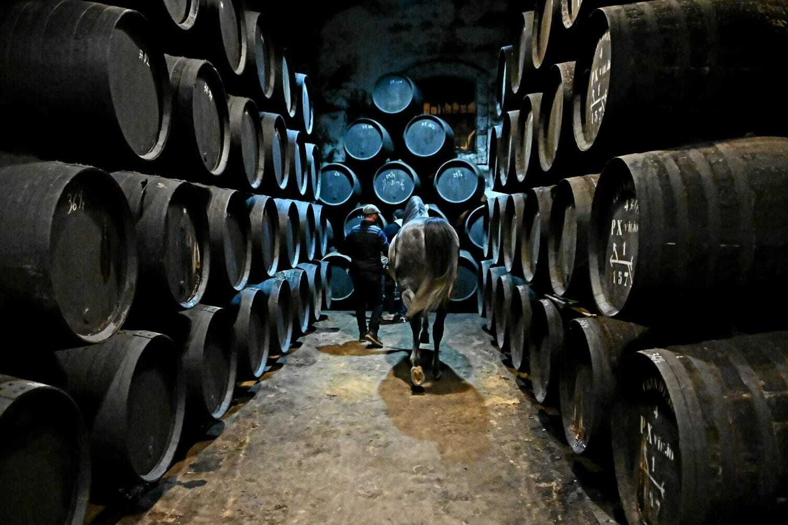 Galería fotográfica del rodaje de 'Siete Jereles'