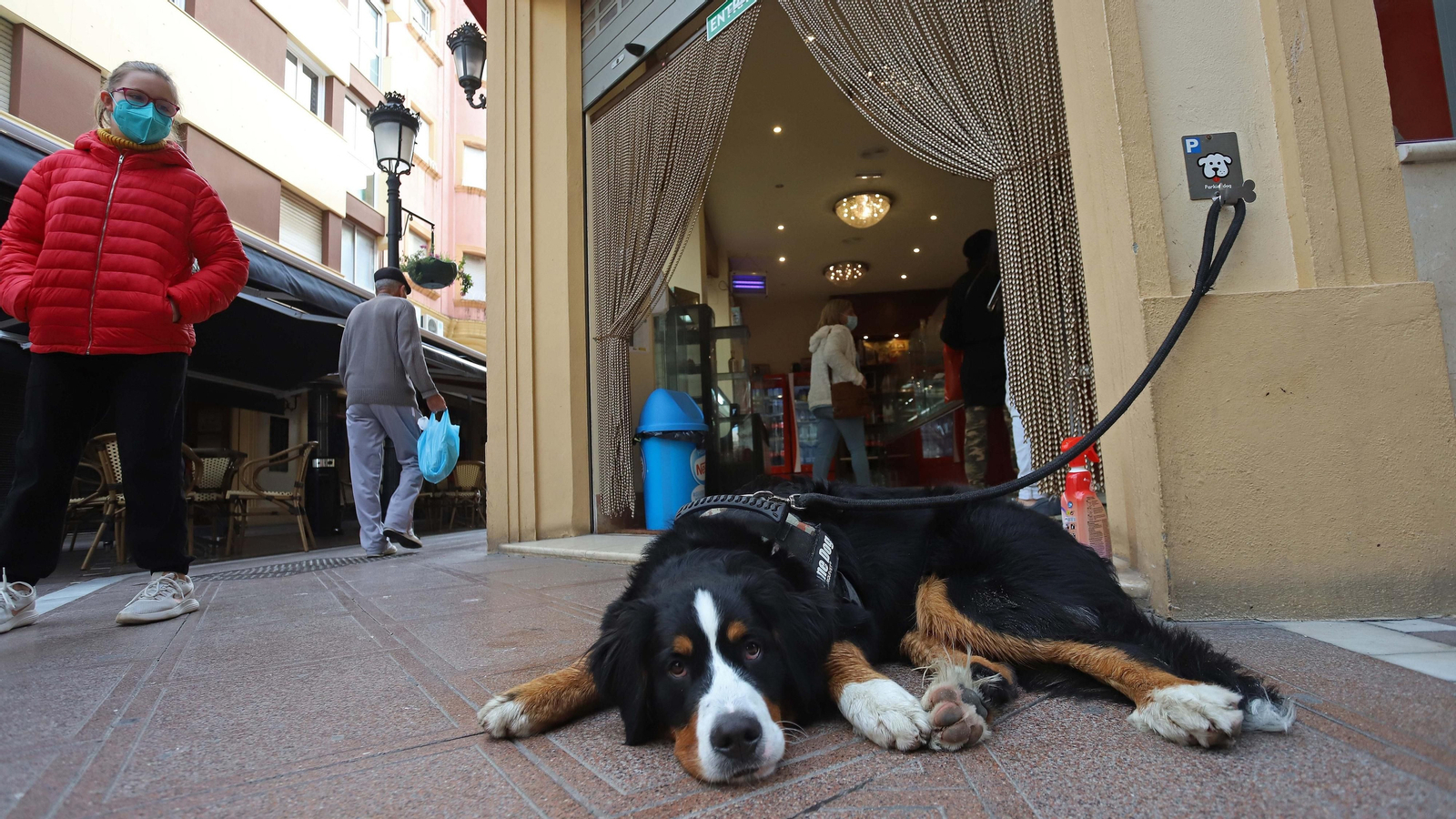 Un perro aguarda a las puertas de un comercio abierto en La Línea.