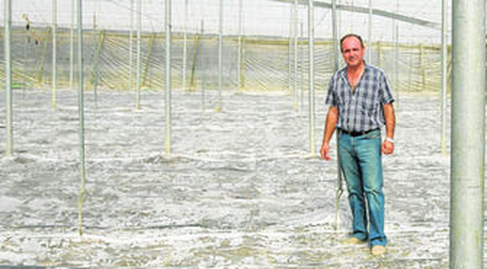 Plastificar el suelo del invernadero permite erradicar los hongos y sanear la tierra.