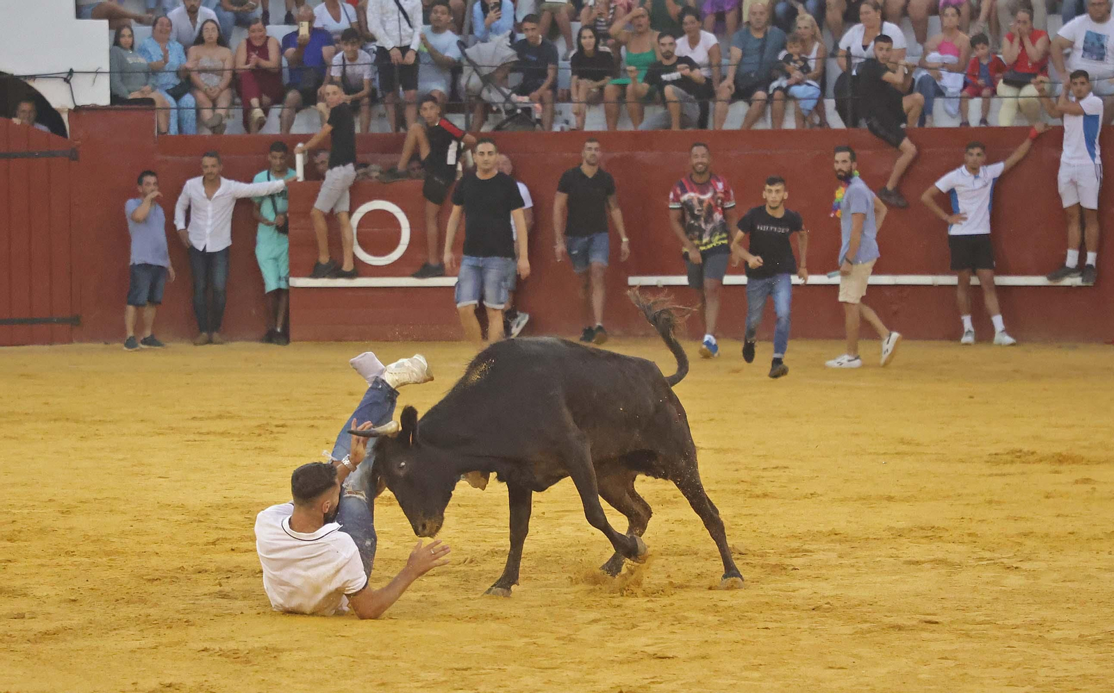 Las mejores fotos del Toro del Aguardiente en San Roque